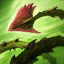 Zyra Skill 4.